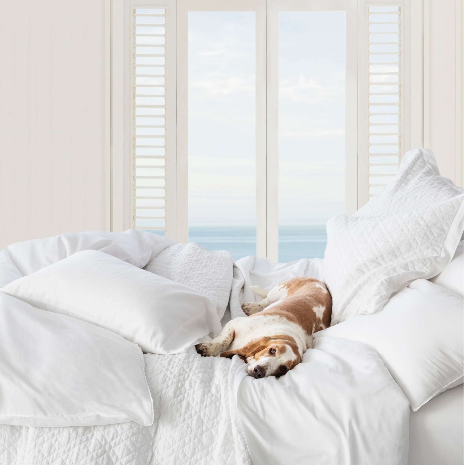 EssentialSateenWhiteSham_PC1570_beauty_1